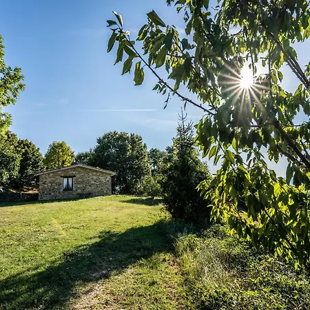 Bio Agriturismo Assiolo * Branca