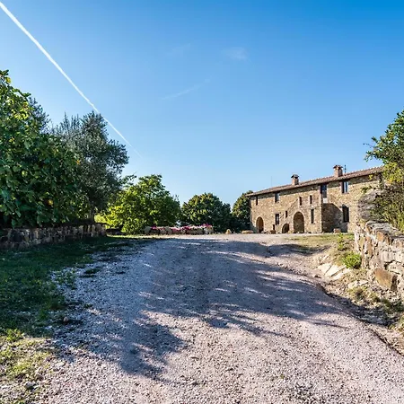 Летний дом Bio Agriturismo Assiolo Branca