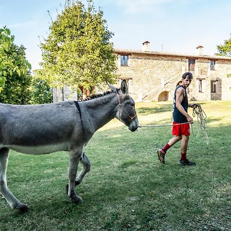 Bio Agriturismo Assiolo Séjour à la campagne Branca