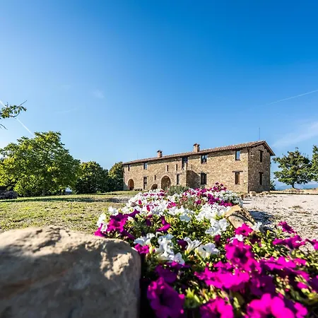 L'assiolo Branca
