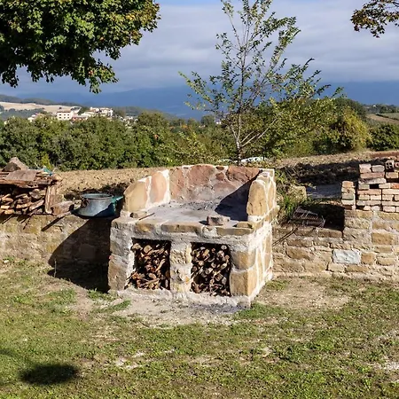 L'assiolo Branca
